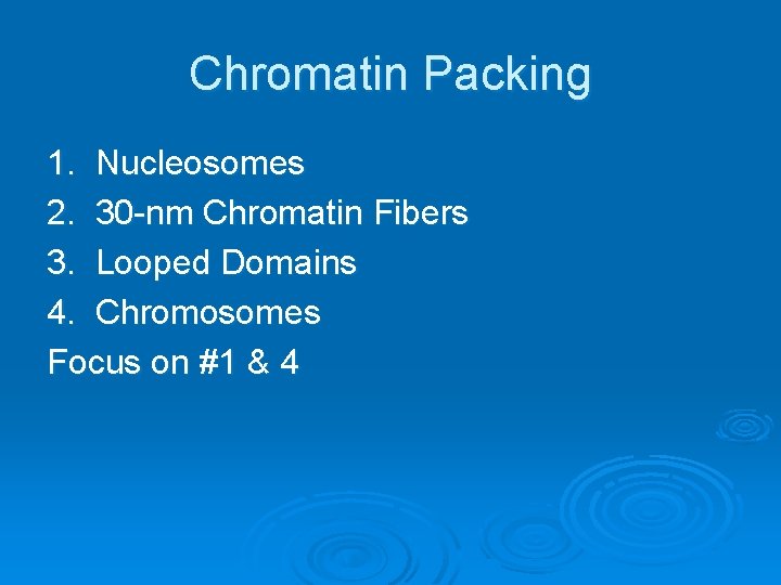 Chromatin Packing 1. Nucleosomes 2. 30 -nm Chromatin Fibers 3. Looped Domains 4. Chromosomes