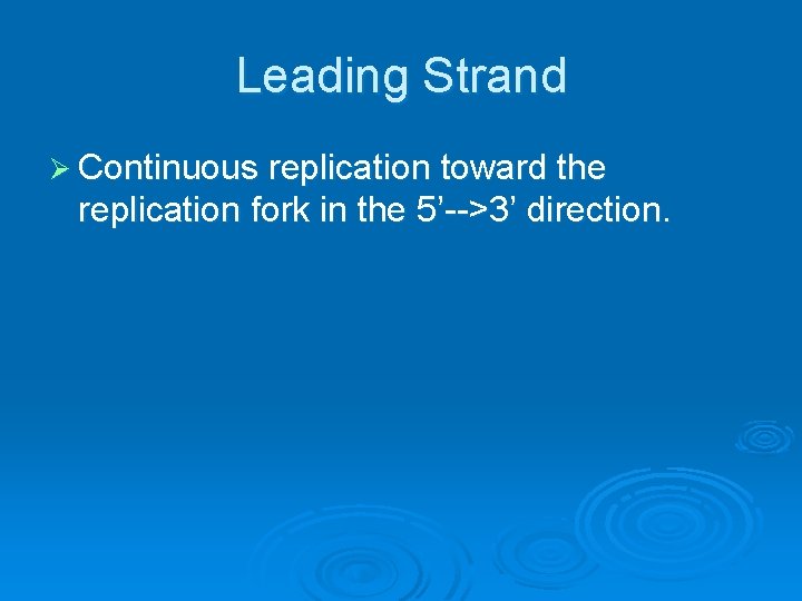 Leading Strand Ø Continuous replication toward the replication fork in the 5’-->3’ direction. 