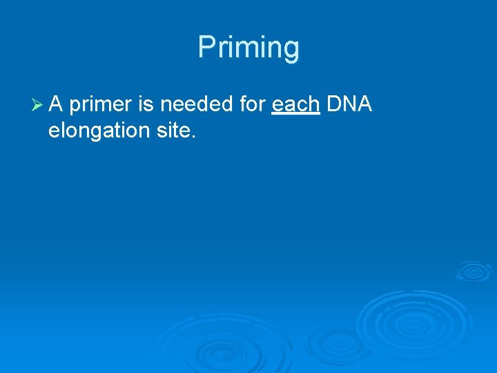 Priming Ø A primer is needed for each DNA elongation site. 