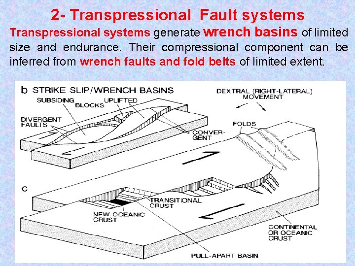 2 - Transpressional Fault systems Transpressional systems generate wrench basins of limited size and