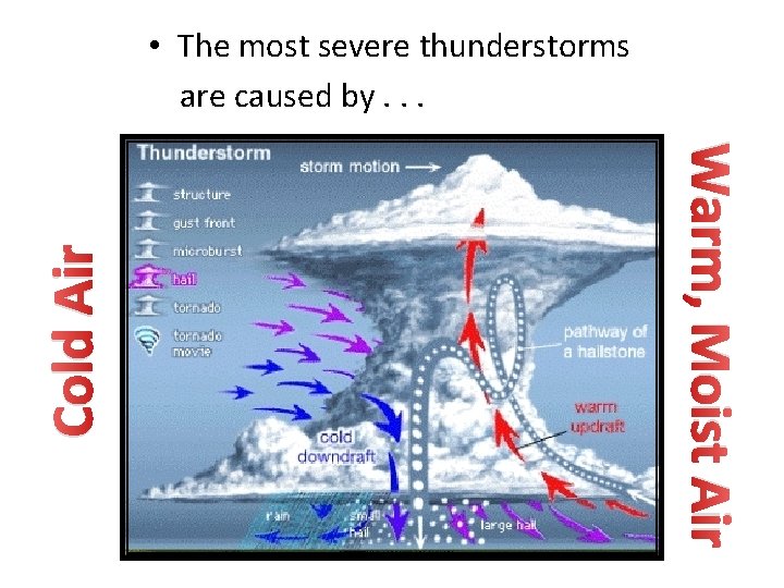 Warm, Moist Air Cold Air • The most severe thunderstorms are caused by. .