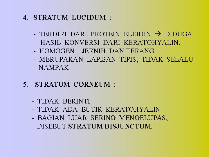 4. STRATUM LUCIDUM : - TERDIRI DARI PROTEIN ELEIDIN DIDUGA HASIL KONVERSI DARI KERATOHYALIN.