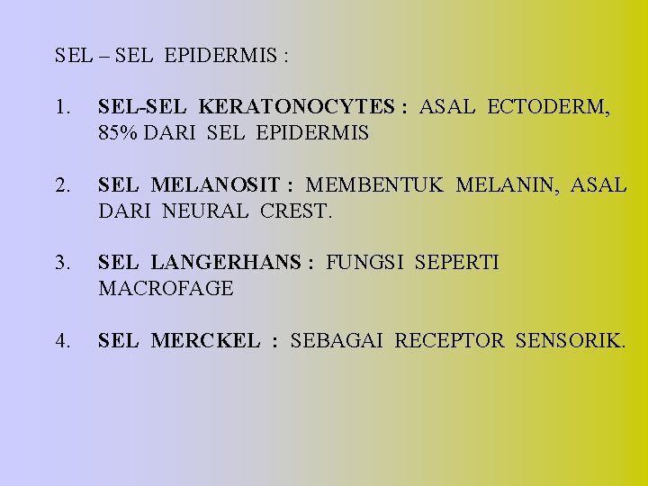 SEL – SEL EPIDERMIS : 1. SEL-SEL KERATONOCYTES : ASAL ECTODERM, 85% DARI SEL