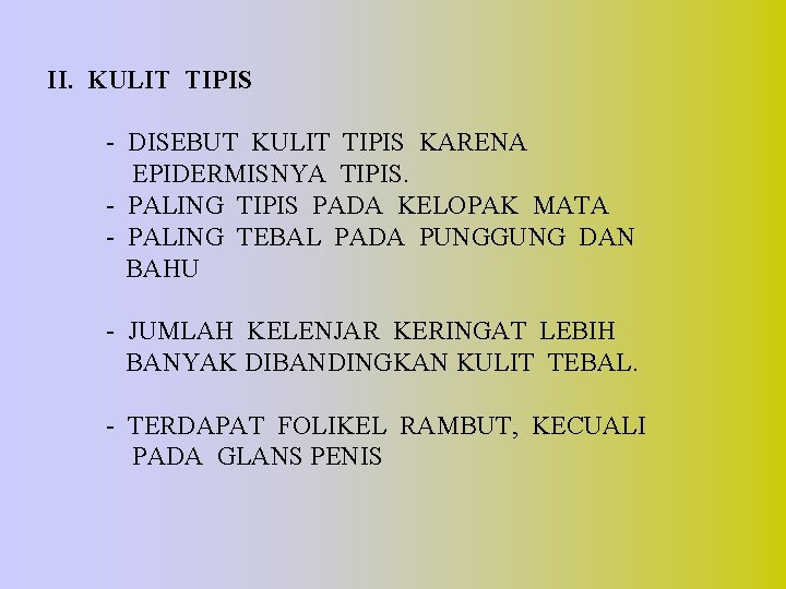 II. KULIT TIPIS - DISEBUT KULIT TIPIS KARENA EPIDERMISNYA TIPIS. - PALING TIPIS PADA