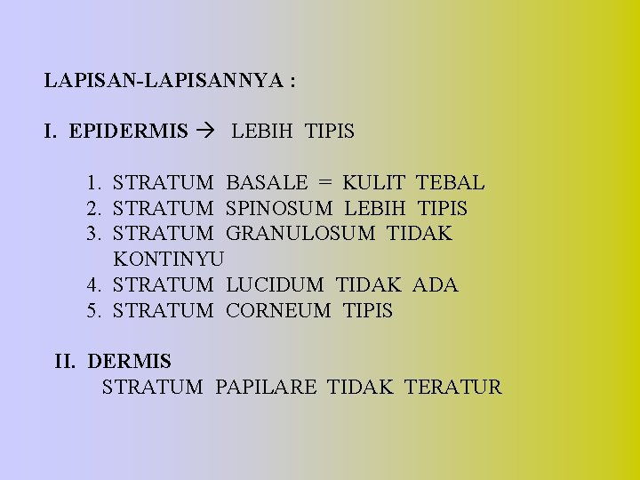 LAPISAN-LAPISANNYA : I. EPIDERMIS LEBIH TIPIS 1. STRATUM BASALE = KULIT TEBAL 2. STRATUM