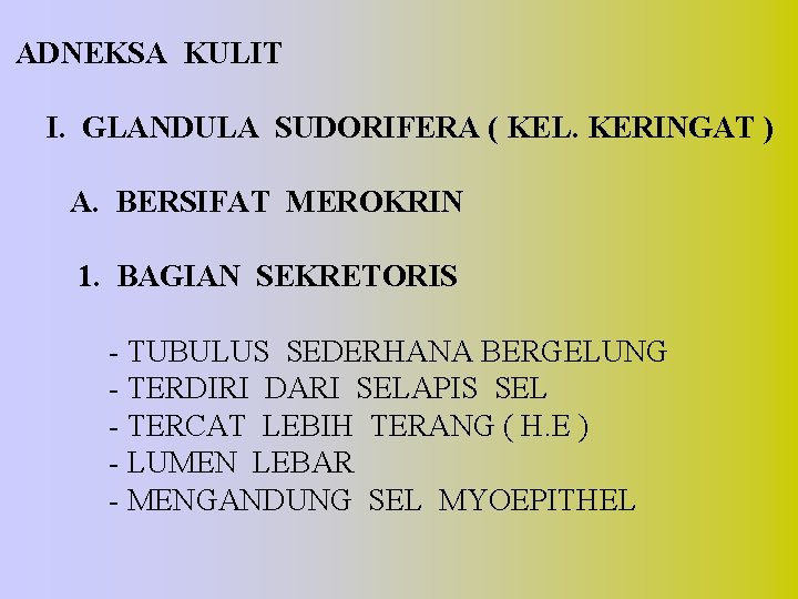 ADNEKSA KULIT I. GLANDULA SUDORIFERA ( KEL. KERINGAT ) A. BERSIFAT MEROKRIN 1. BAGIAN