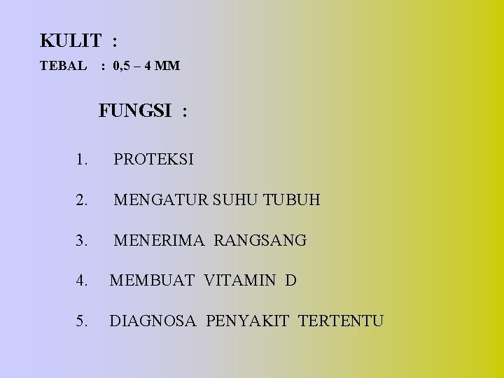 KULIT : TEBAL : 0, 5 – 4 MM FUNGSI : 1. PROTEKSI 2.