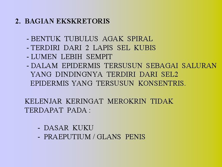 2. BAGIAN EKSKRETORIS - BENTUK TUBULUS AGAK SPIRAL - TERDIRI DARI 2 LAPIS SEL