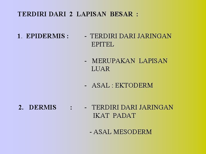 TERDIRI DARI 2 LAPISAN BESAR : 1. EPIDERMIS : - TERDIRI DARI JARINGAN EPITEL