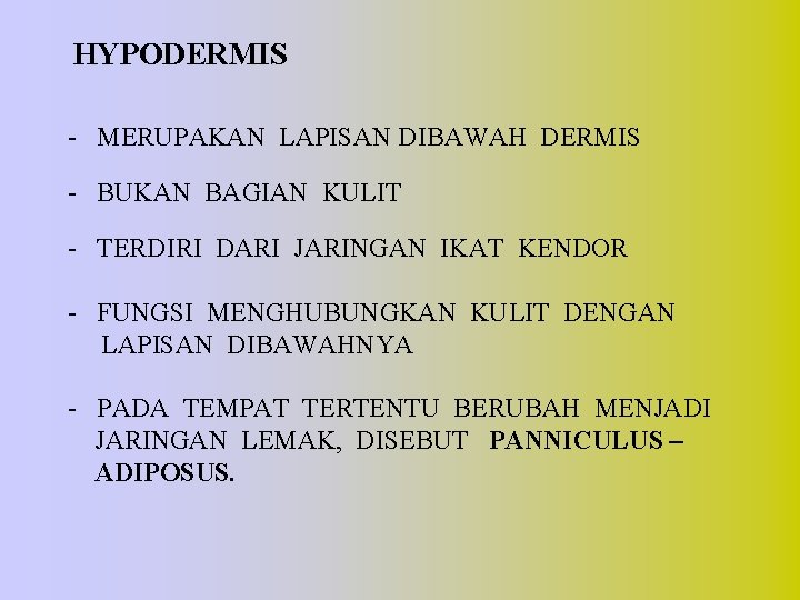 HYPODERMIS - MERUPAKAN LAPISAN DIBAWAH DERMIS - BUKAN BAGIAN KULIT - TERDIRI DARI JARINGAN