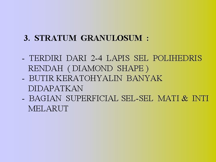 3. STRATUM GRANULOSUM : - TERDIRI DARI 2 -4 LAPIS SEL POLIHEDRIS RENDAH (