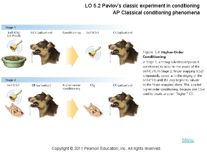 LO 5. 2 Pavlov’s classic experiment in conditioning AP Classical conditioning phenomena Menu Copyright