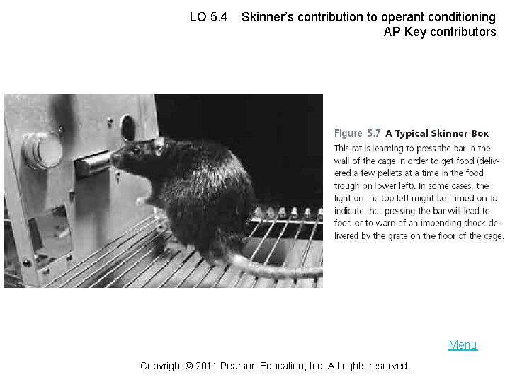 LO 5. 4 Skinner’s contribution to operant conditioning AP Key contributors Menu Copyright ©