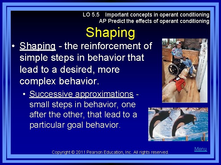 LO 5. 5 Important concepts in operant conditioning AP Predict the effects of operant