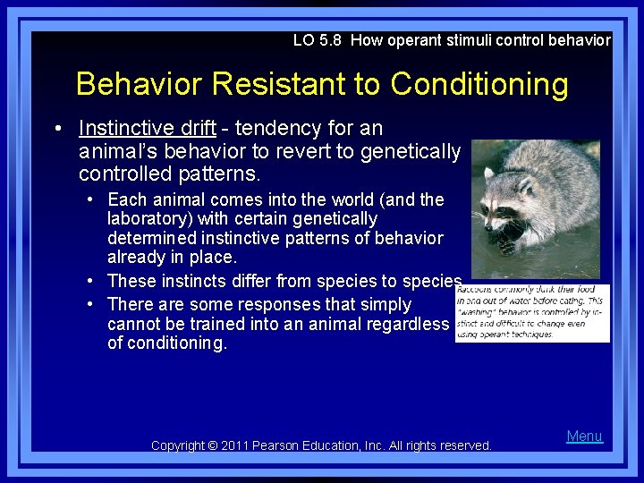 LO 5. 8 How operant stimuli control behavior Behavior Resistant to Conditioning • Instinctive