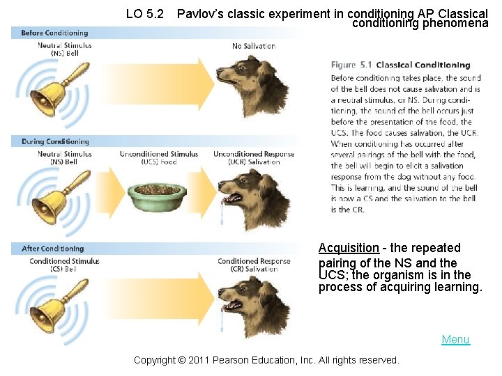 LO 5. 2 Pavlov’s classic experiment in conditioning AP Classical conditioning phenomena Acquisition -