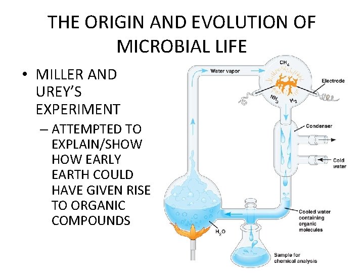 THE ORIGIN AND EVOLUTION OF MICROBIAL LIFE • MILLER AND UREY’S EXPERIMENT – ATTEMPTED