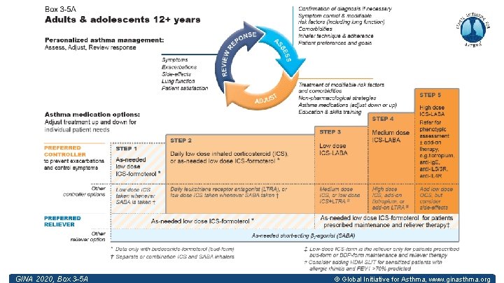 GINA 2020, Box 3 -5 A © Global Initiative for Asthma, www. ginasthma. org