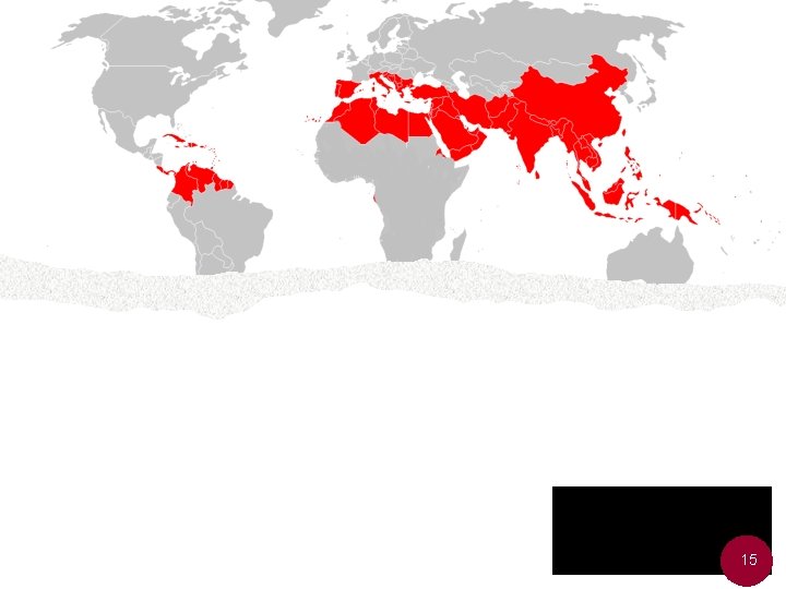 What is thalassaemia? Thalassaemia is the name for a group of inherited conditions that