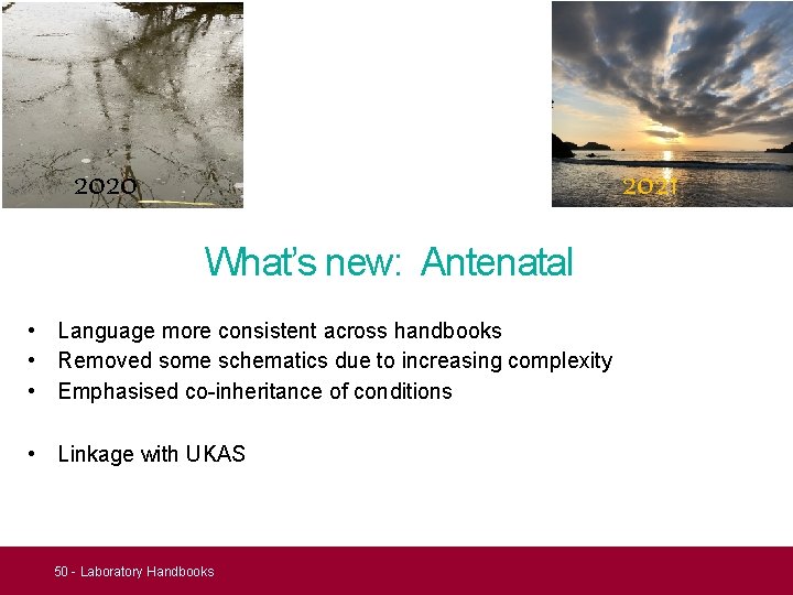 2020 2021 What’s new: Antenatal • Language more consistent across handbooks • Removed some 2020 2021 What’s new: Antenatal • Language more consistent across handbooks • Removed some