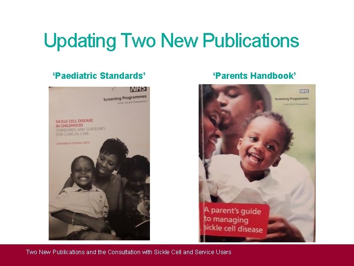 Updating Two New Publications ‘Paediatric Standards’ ‘Parents Handbook’ Two New Publications and the Consultation