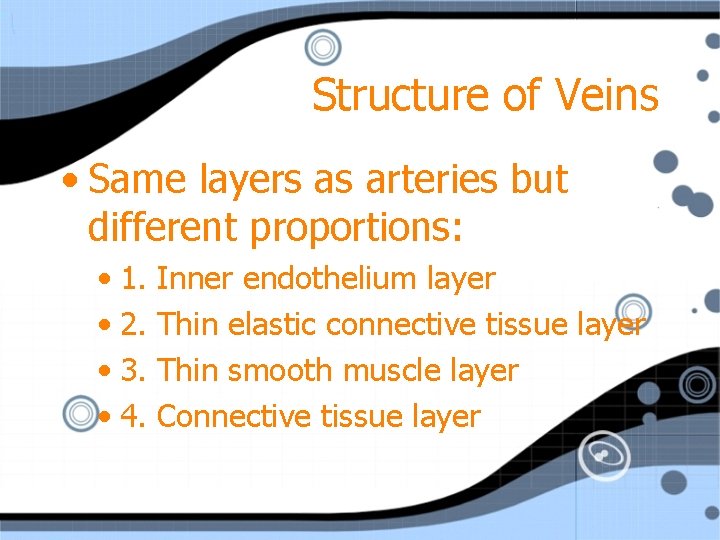 Structure of Veins • Same layers as arteries but different proportions: • 1. •