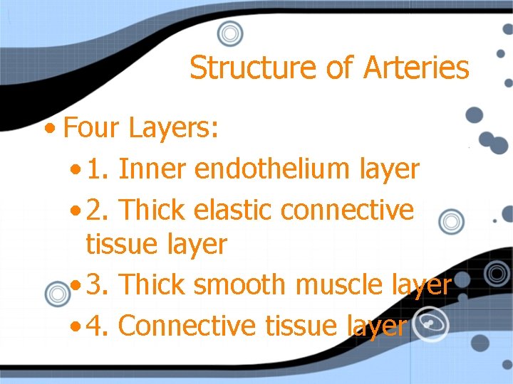 Structure of Arteries • Four Layers: • 1. Inner endothelium layer • 2. Thick