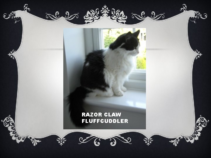 RAZOR CLAW FLUFFCUDDLER 