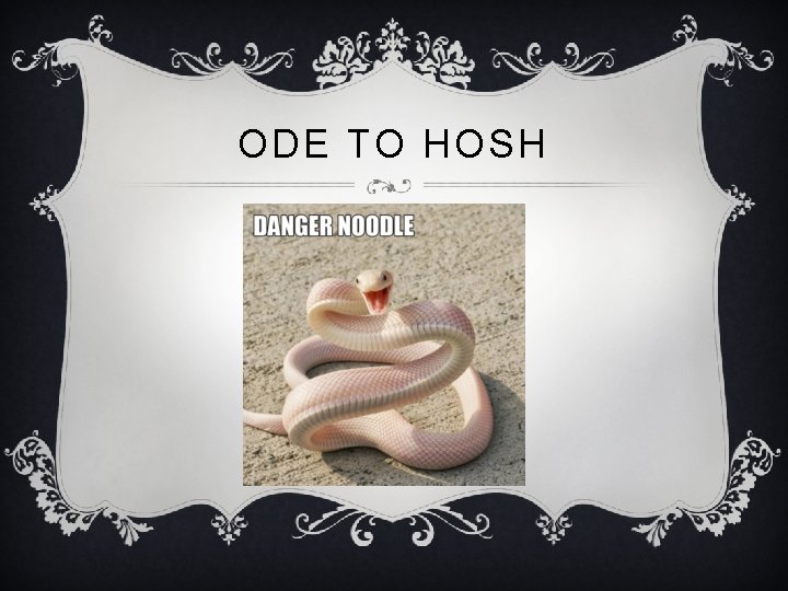 ODE TO HOSH 