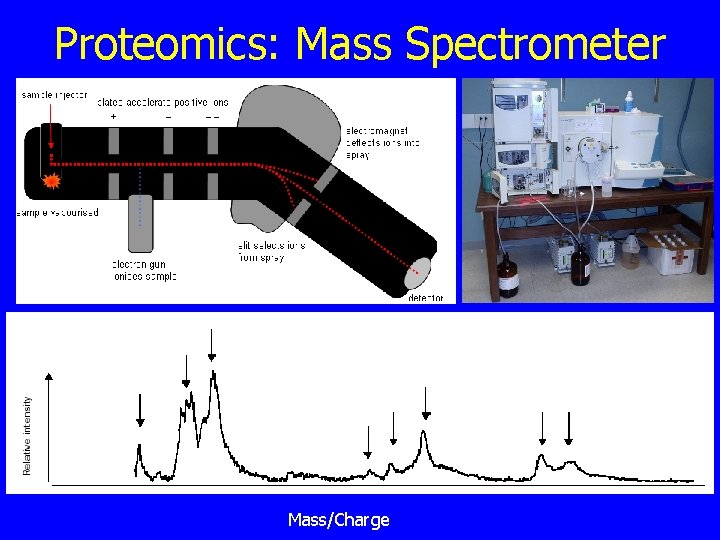 Proteomics: Mass Spectrometer Mass/Charge 