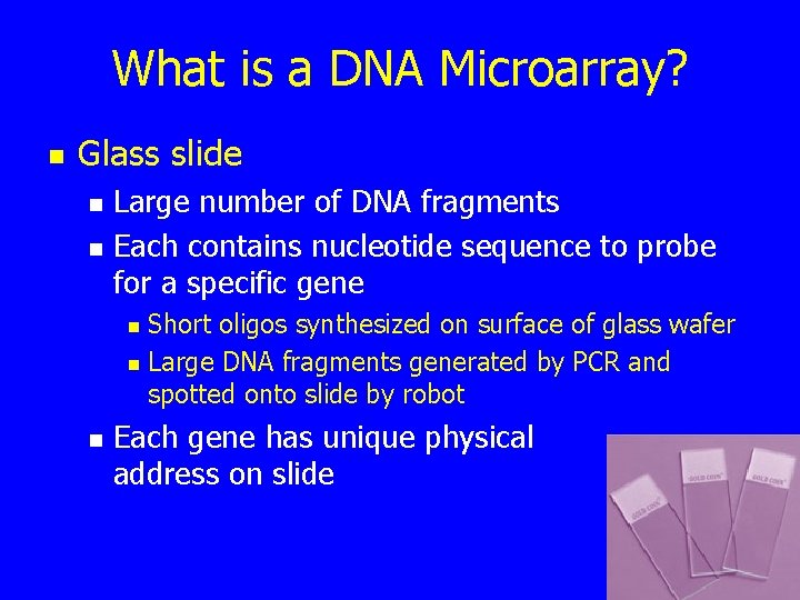 What is a DNA Microarray? n Glass slide n n Large number of DNA