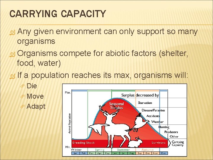 CARRYING CAPACITY Any given environment can only support so many organisms Organisms compete for