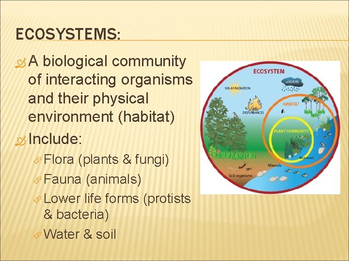 ECOSYSTEMS: A biological community of interacting organisms and their physical environment (habitat) Include: Flora