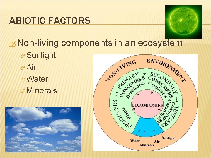 ABIOTIC FACTORS Non-living Sunlight Air Water Minerals components in an ecosystem 