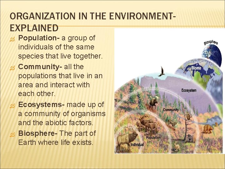 ORGANIZATION IN THE ENVIRONMENTEXPLAINED Population- a group of individuals of the same species that