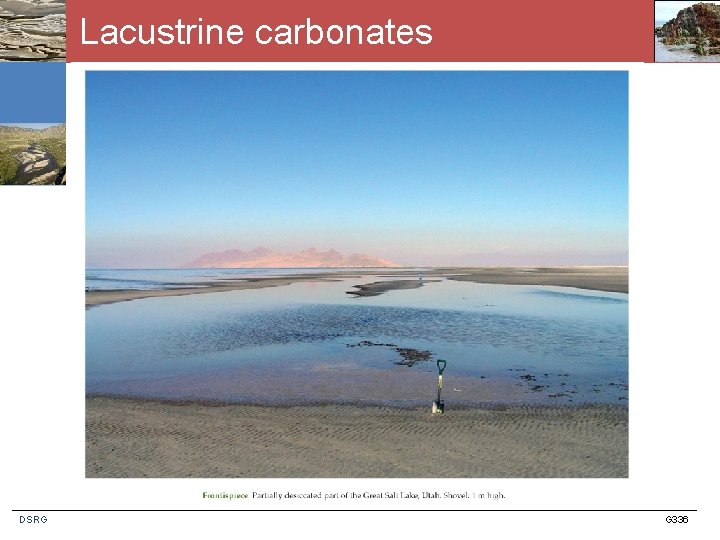 Lacustrine carbonates DSRG G 336 