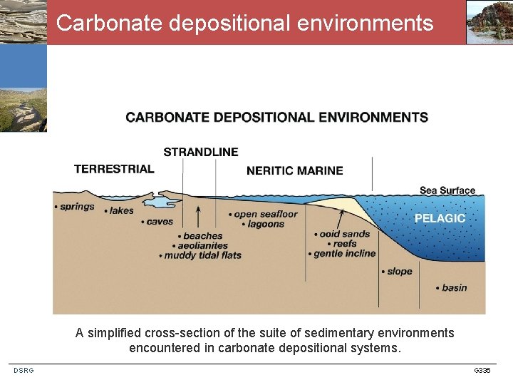 Carbonate depositional environments A simplified cross-section of the suite of sedimentary environments encountered in