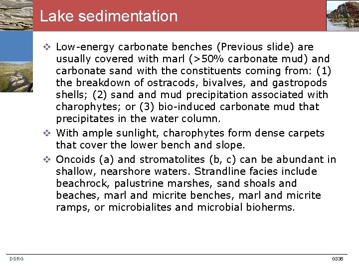 Lake sedimentation v Low-energy carbonate benches (Previous slide) are usually covered with marl (>50%
