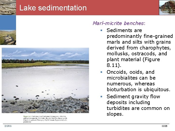 Lake sedimentation Marl-micrite benches: § Sediments are predominantly fine-grained marls and silts with grains