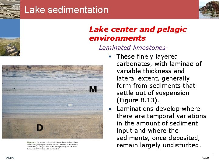 Lake sedimentation Lake center and pelagic environments Laminated limestones: § These finely layered carbonates,