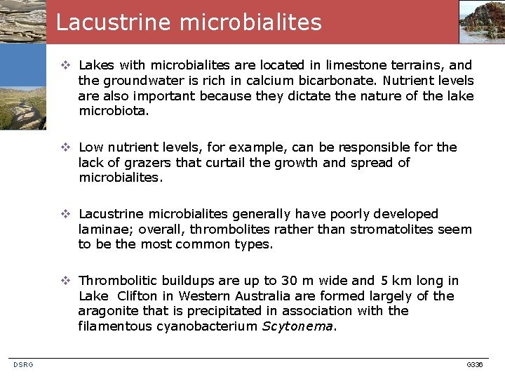Lacustrine microbialites v Lakes with microbialites are located in limestone terrains, and the groundwater
