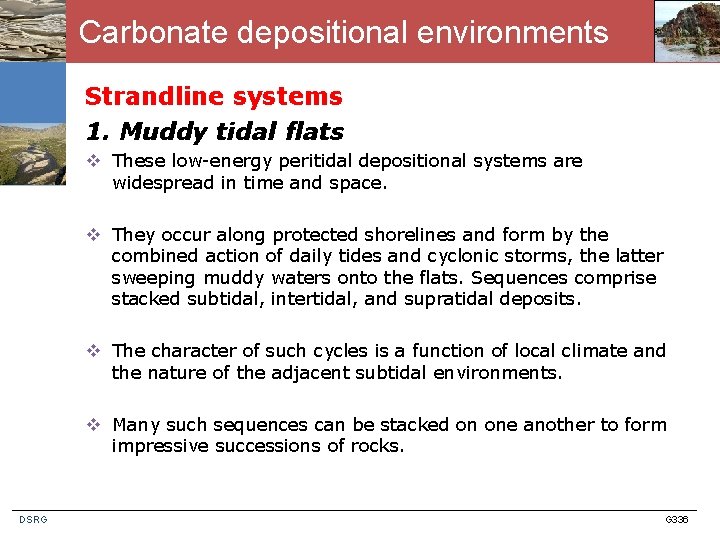 Carbonate depositional environments Strandline systems 1. Muddy tidal flats v These low-energy peritidal depositional