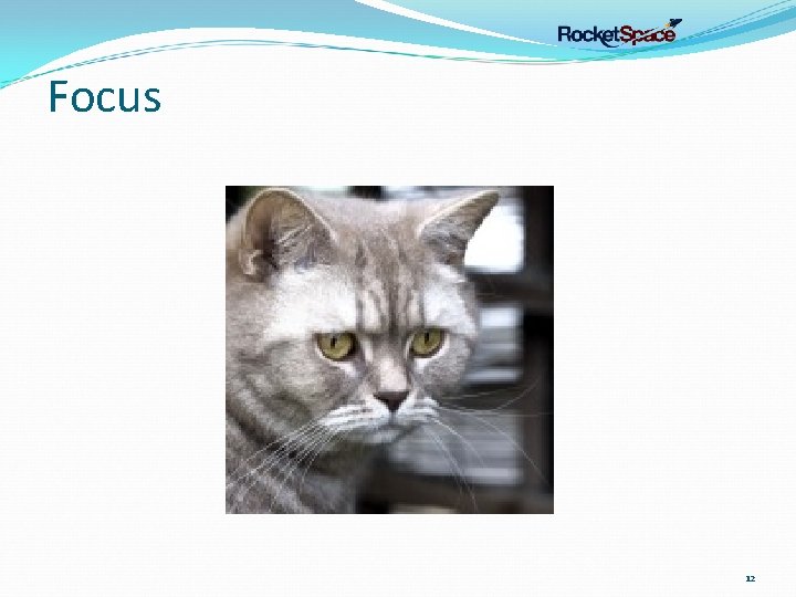 Focus 12 