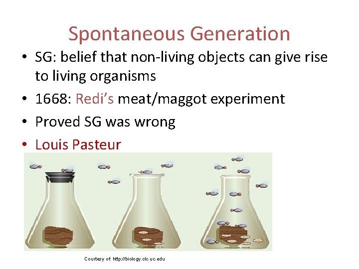 Spontaneous Generation • SG: belief that non-living objects can give rise to living organisms
