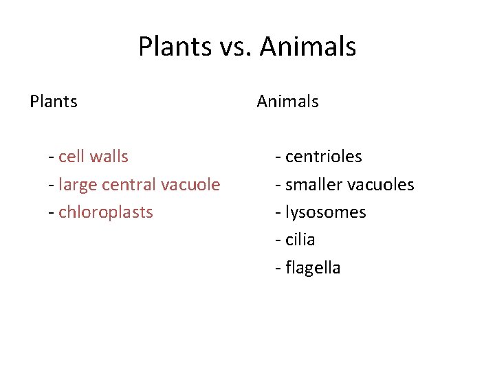 Plants vs. Animals Plants - cell walls - large central vacuole - chloroplasts Animals