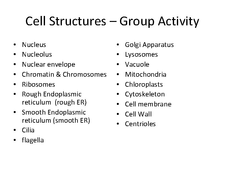 Cell Structures – Group Activity Nucleus Nucleolus Nuclear envelope Chromatin & Chromosomes Ribosomes Rough