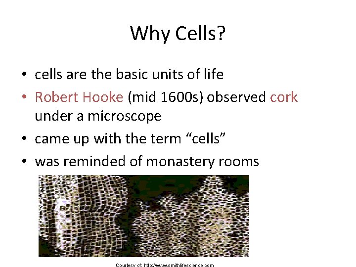 Why Cells? • cells are the basic units of life • Robert Hooke (mid