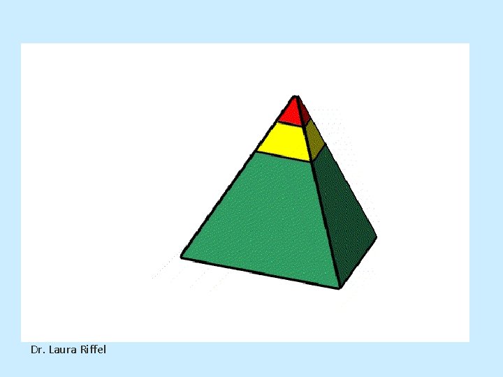 Dr. Laura Riffel 