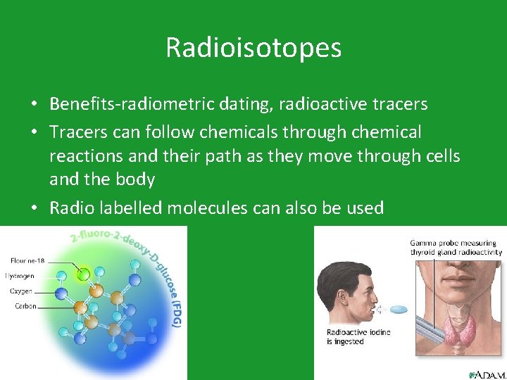 Radioisotopes • Benefits-radiometric dating, radioactive tracers • Tracers can follow chemicals through chemical reactions