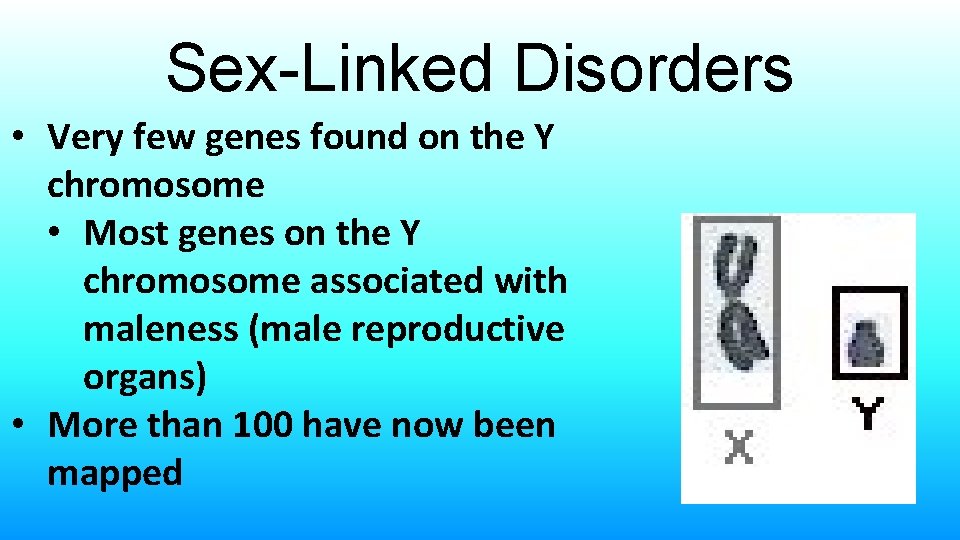 Sex-Linked Disorders • Very few genes found on the Y chromosome • Most genes